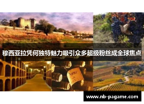 穆西亚拉凭何独特魅力吸引众多超级粉丝成全球焦点 穆西亚拉凭何独特魅力吸引众多超级粉丝成全球焦点