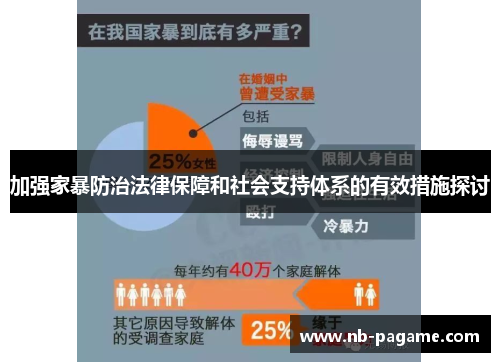 加强家暴防治法律保障和社会支持体系的有效措施探讨