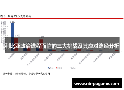 利比亚政治进程面临的三大挑战及其应对路径分析