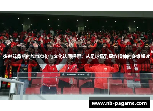 张琳芃背后的族群身份与文化认同探索：从足球场到民族精神的多维解读
