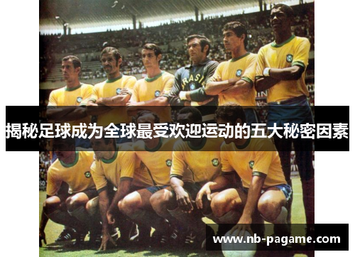 揭秘足球成为全球最受欢迎运动的五大秘密因素 揭秘足球成为全球最受欢迎运动的五大秘密因素