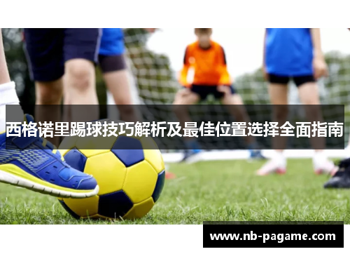 西格诺里踢球技巧解析及最佳位置选择全面指南 西格诺里踢球技巧解析及最佳位置选择全面指南