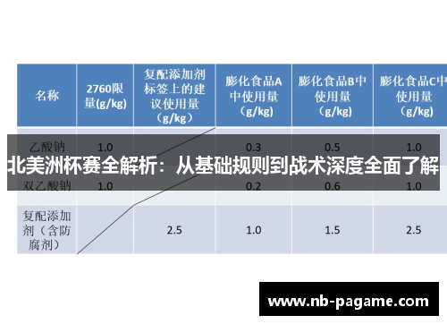 北美洲杯赛全解析：从基础规则到战术深度全面了解