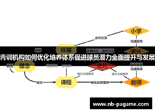 青训机构如何优化培养体系促进球员潜力全面提升与发展