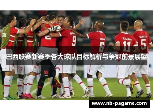 巴西联赛新赛季各大球队目标解析与争冠前景展望 巴西联赛新赛季各大球队目标解析与争冠前景展望