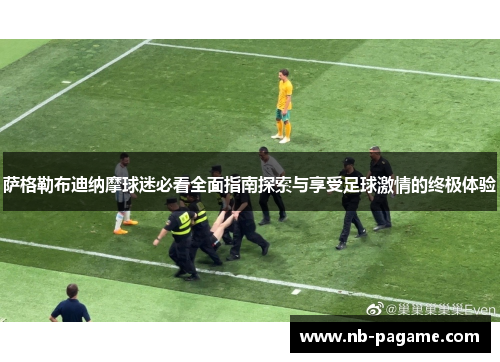 萨格勒布迪纳摩球迷必看全面指南探索与享受足球激情的终极体验